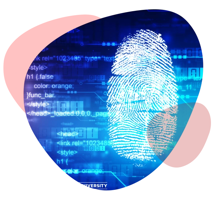 Digital Forensics as a Service (DFAS)