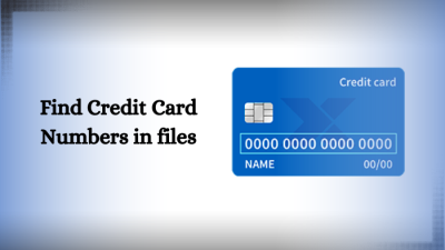 find credit cards numbers in files