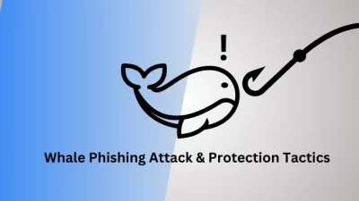 Whale Phishing Attack & Protection Tactics for C-Suite Executives