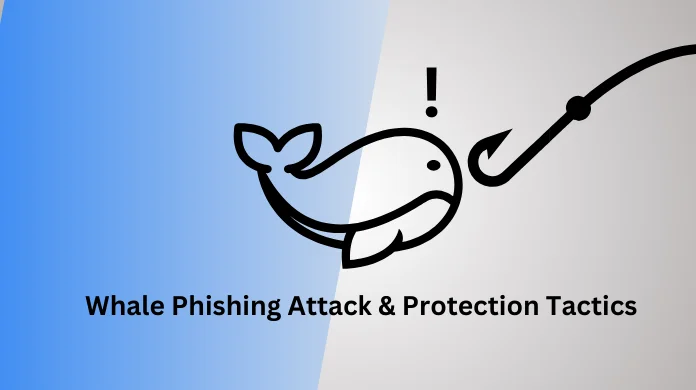 Whale Phishing Attack & Protection Tactics for C-Suite Executives